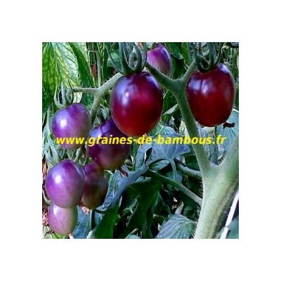 11 tomate osue p20