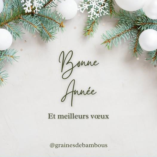 Bonne annee 2024 graines de bambous fr