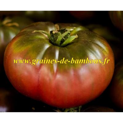 Tomate cherokee