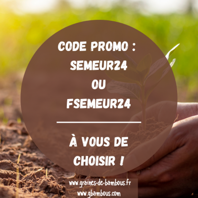 Code promo ete 2024 graines de bambous fr