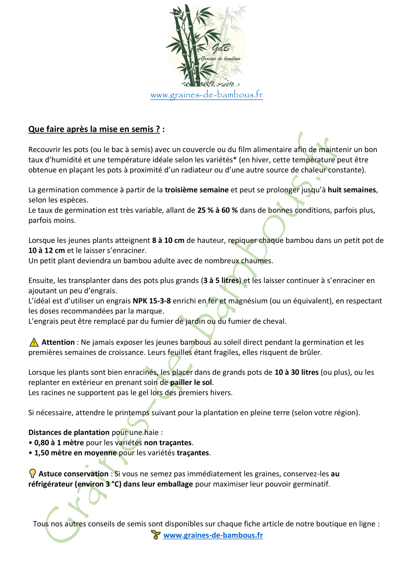 Conseils de semis graines de bambous fr