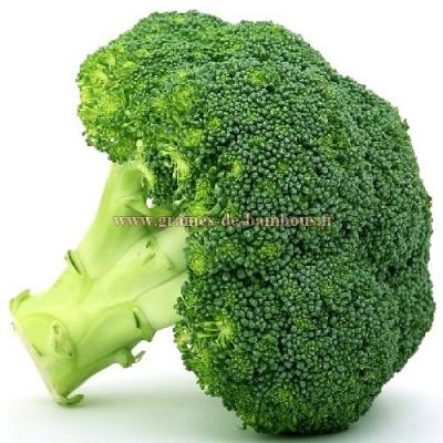 Jets de brocoli graines de bambous fr