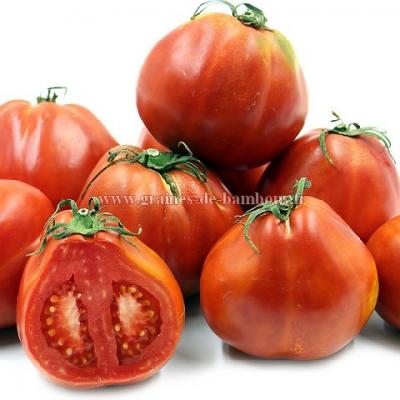 Tomate red pear sur graines de bambous fr