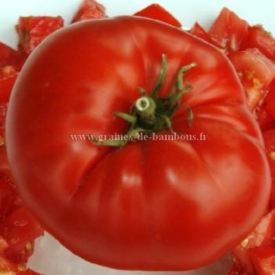 Tomate watermelon beefsteak variete ancienne graines