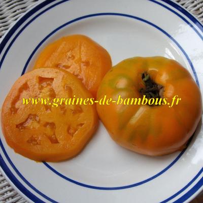 Tomate amana orange graines nt