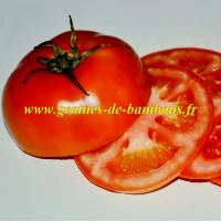 Graines tomate dutchman fruit