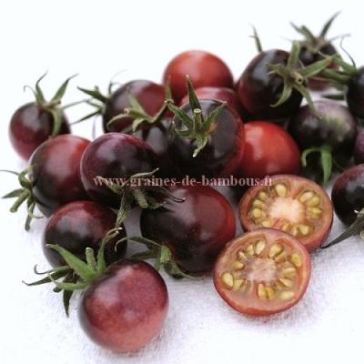 Tomate indigo cerise bleue graines de bambous fr