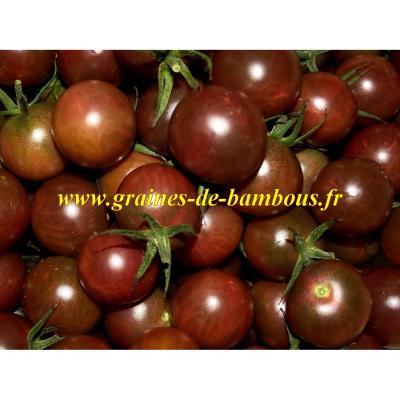 Tomate black cherry graines de bambous eu