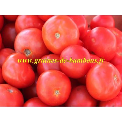 Tomate rose de berne graines de bambous fr