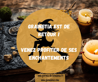 Grainetia 2024 graines de bambous fr min