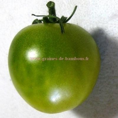 Tomate cerise green grape