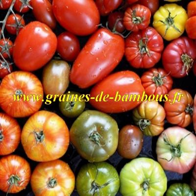 heirloom-tomato-seeds-solanum-lycopersicum-www-graines-de-bambous-fr.jpg