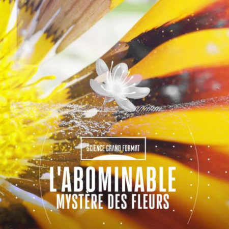 L abominable mystere des fleurs