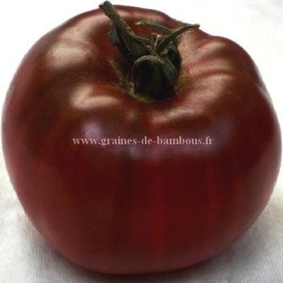 Noire de crimee graines de tomate