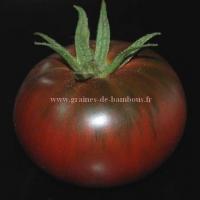 Noire russe tomate