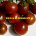 Nyagous graines de tomate tomato seeds