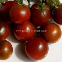 Nyagous graines de tomate