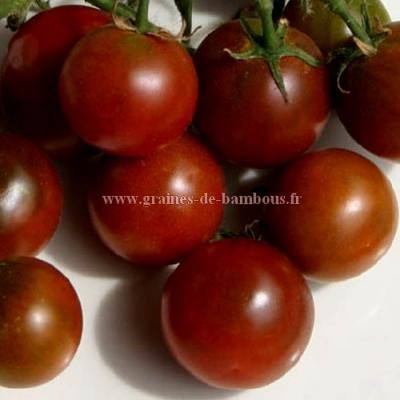 Nyagous graines de tomate tomato seeds