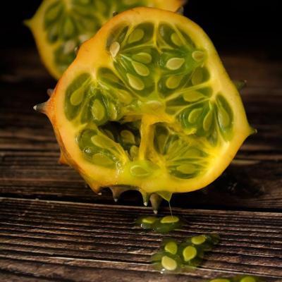 Cucumis metuliferus concombre kiwano www graines de bambous fr