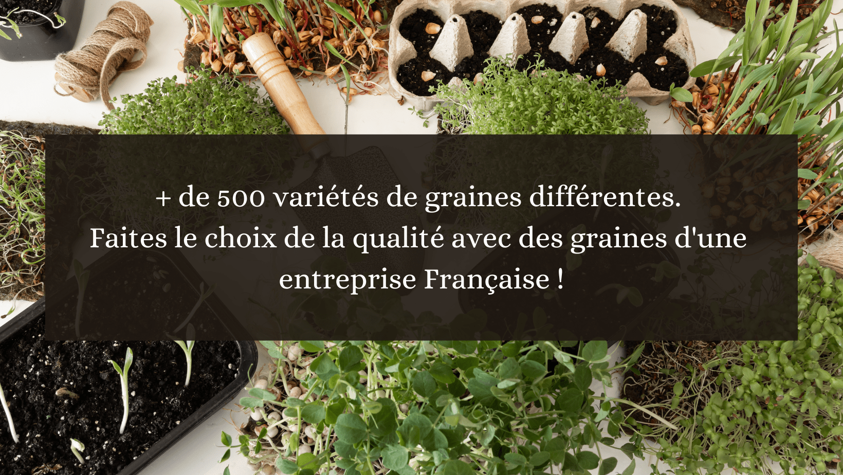 Plus de 500 varietes de graines differentes faites le choix de la qualite avec des graines d une entreprise base en france min