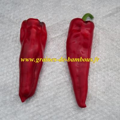 Poivron corne de taureau rouge capsicum annum graines