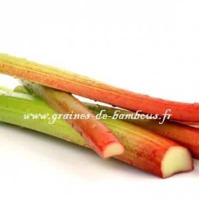 Rhubarb 54084 1280