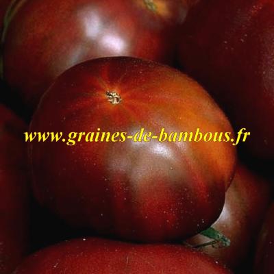 Tomate black russian graines de bambous eu