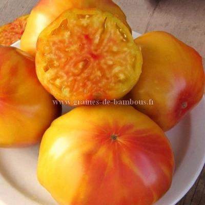 Striped german graines fruit tomate