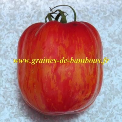 Graines de tomate rayee striped stuffer