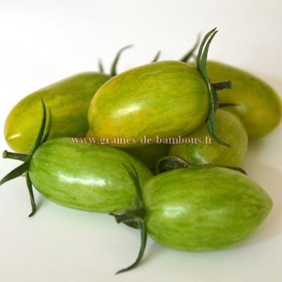 Tomate green tiger sur graines de bambous fr