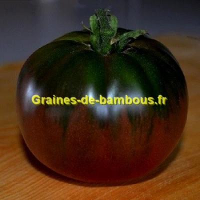 Tomate black russian graines de bambous eu