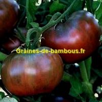 Tomate cherokee