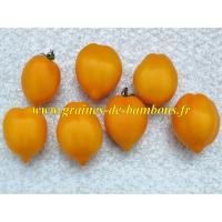 Tomate citron graines de bambous eu