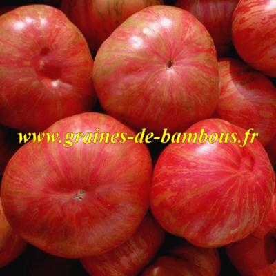 Vintage wine graines de tomate fruit