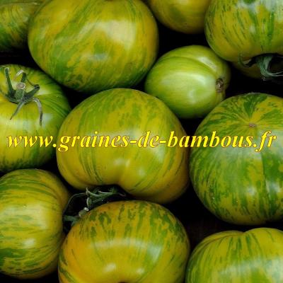 Tomate green zebra graines de bambous fr