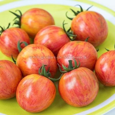 Tomate pink bumble bee graines de bambous fr