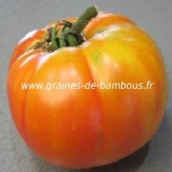 tomate-ponderosa-jaune-www-graines-de-bambous-fr-2.jpg