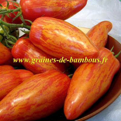 Graines tomate roma striee sur graines de bambous fr