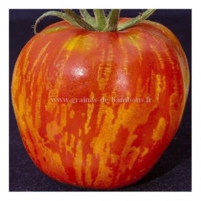 Graines tomate tigerella