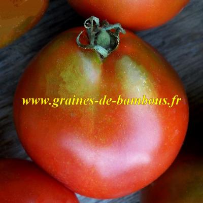 Trifele black tomate graines de bambous eu